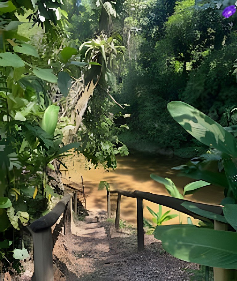 Refúgio Natural em Paraty