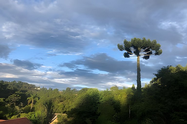 Linda residência em Campos do Jordão - SP
