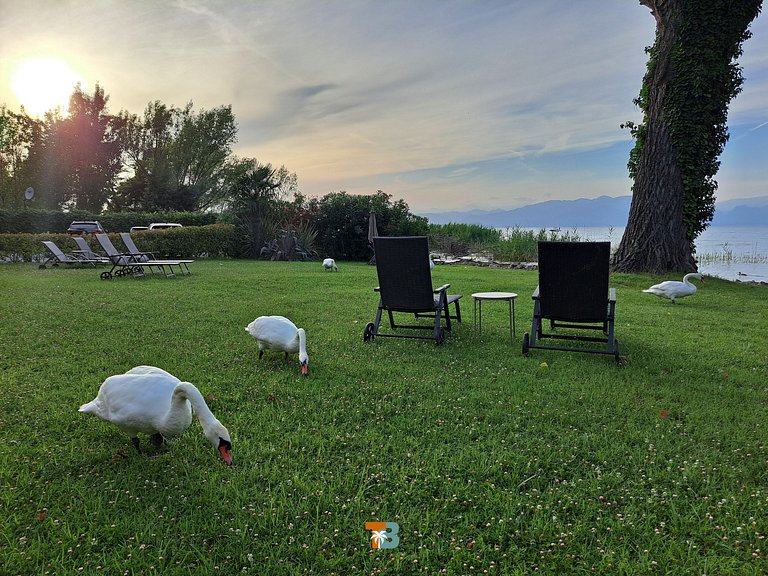 Lovely House in Lago di Garda (1)