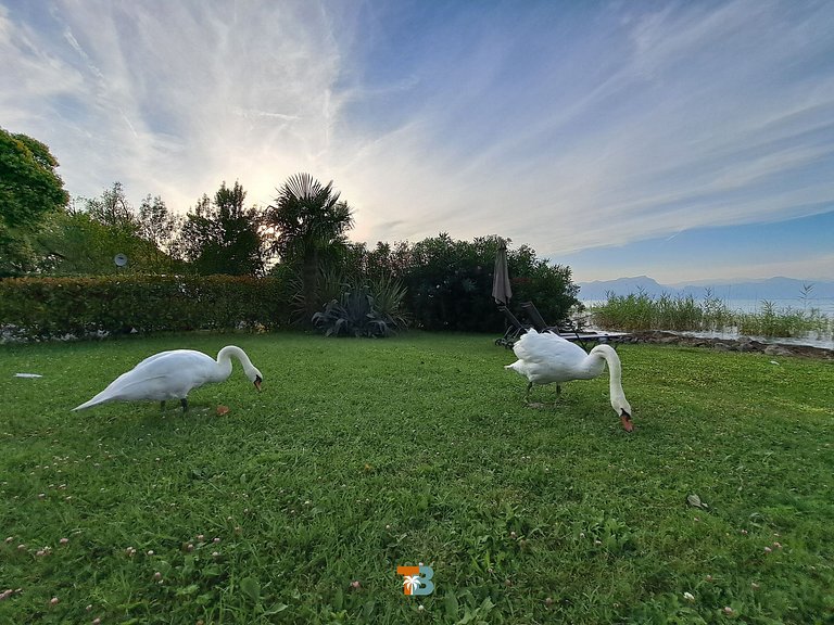 Lovely House in Lago di Garda (1)