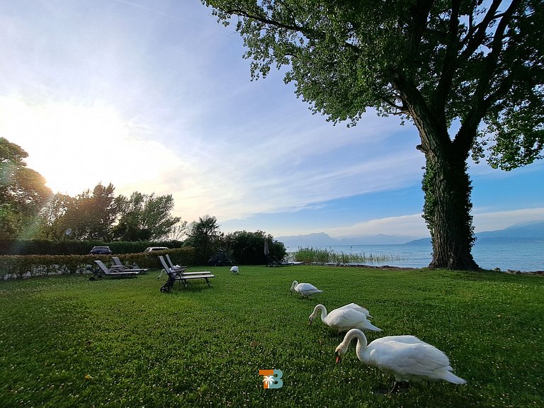 Lovely House in Lago di Garda (1)