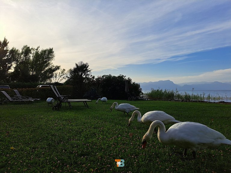 Beautiful home in Lago di Garda (4)