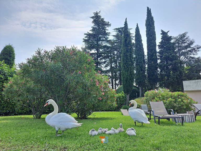 Cozy house by Lago di Garda (6)