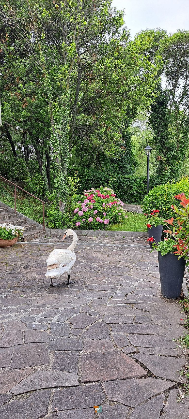 Cozy house by Lago di Garda (6)