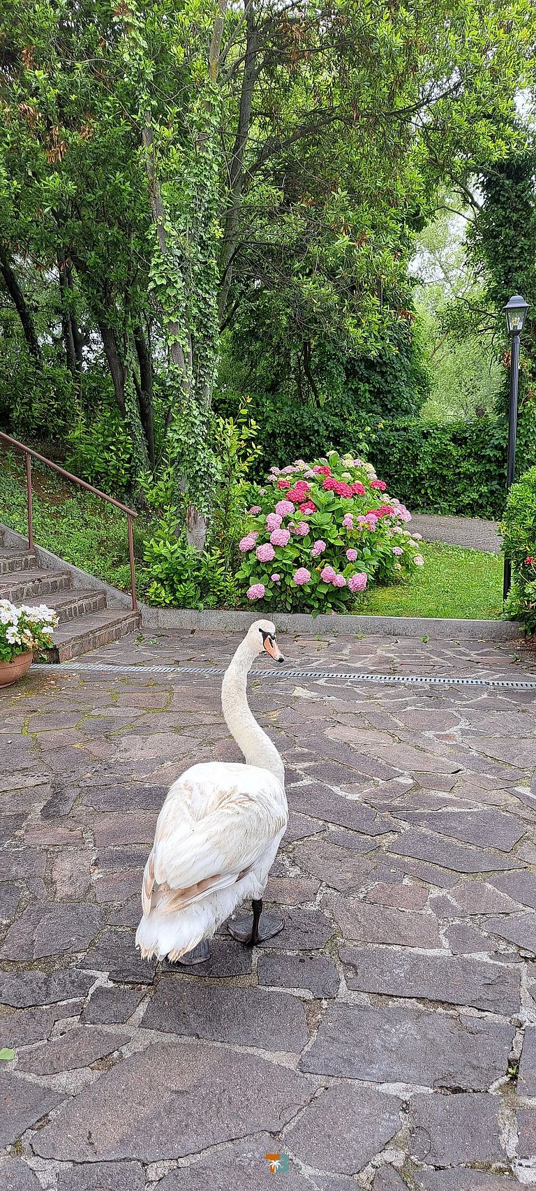 Cozy house by Lago di Garda (6)
